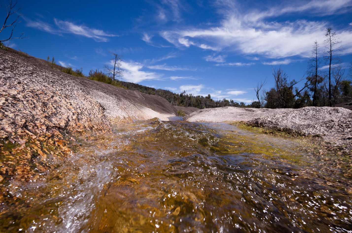 Environmental Sample Analysis