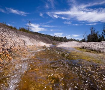 Environmental Sample Analysis Environmental Sample Analysis